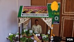 Farooq Ahmad Gannie displaying non-traditional vegetables at a buyer-and-seller fair, Rajbagh area of Srinagr. Event organized by the Jammu and Kashmir Government.(Wasim Nabi/VOA) 