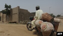 Un agriculteur utilise une moto pour transporter des tomates récoltées dans sa ferme de Jibia, le 17 février 2024.