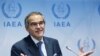World Must Not Fail in Iran as It Did in North Korea, IAEA Chief Says 