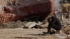 A man reacts as people search the rubble of collapsed apartment blocks for personal belongings, in the aftermath of a deadly earthquake, in Kahramanmaras, Turkey, Feb. 18, 2023.