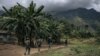 Les Forces armées de la RDC sont accusées depuis mi-2022 de collaborer avec les FDLR, principalement Hutu, pour endiguer l'avancée des rebelles du M23, dirigés par des Tutsi.