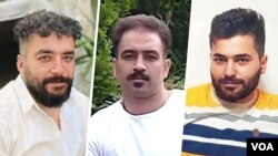 مجید کاظمی، صالح میرهاشمی، و سعید یعقوبی