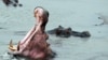 FILE - Hippopotamuses wallow in the Dungu River in the Democratic Republic of Congo, Feb. 2, 2016. A charging hippo capsized a canoe in Malawi on May 15, 2023, leaving one child dead and more than 20 people missing.