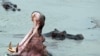 Les accidents de bateaux sont fréquents au Malawi où l'absence de transport fluvial régulier conduit de nombreuses personnes à traverser les lacs et rivières sur des bateaux parfois en mauvais état