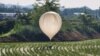 Korut Berjanji Hentikan Kirim Balon-balon Sampah ke Korsel