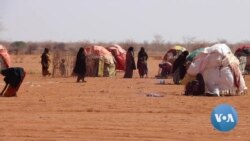 Pressure Grows on Kenyan President to Declare Drought a National Disaster 