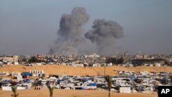 Palestinians