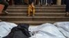 Global Health Emergencies Top Agenda of WHO Annual Meeting 