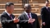 Africa Forges Global Ties, Seeks More International Influence