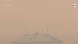 Nueva York sigue cubierta por una densa niebla