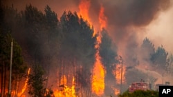 Požar u Francuskoj (Foto: SDIS 33 via AP)