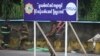 UN: Myanmar’s Militias, Rebel Armies Ramping Up Drug Trade