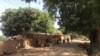 Al'ummar Jihar Kebbi Sun Yi Nasarar Arangama Da ‘Yan Bindiga