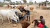 L'UE promet plus d'un milliard d'euros pour l'adaptation climatique en Afrique