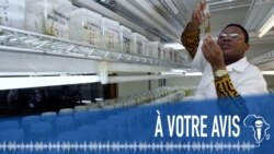  À Votre Avis : l'Afrique et la recherche scientifique