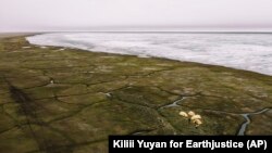 This June 30, 2019, photo released by Earthjustice shows Alaska's North Slope. The Biden administration issued a study on Feb. 1, 2023, that recommends allowing a major oil development on the North Slope.