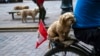 A protester carries his dog on the back of his bike during an anti-government march in Cusco, Peru, Feb. 2, 2023. 
