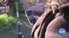 LogOn: Electric Scooters Are Popular, but Are They Safe?