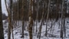 16x9 Image