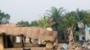 រូបភាព​ឯកសារ៖ ពពែ​មួយ​ក្បាលដើរ​កាត់​អគារដែល​ត្រូវ​ឆេះខ្ទេចខ្ទី​ក្នុង​ខេត្ត​ Kembong ភាគ​និរតី​ប្រទេស​កាម៉េរូនកាលពី​ថ្ងៃទី២៩​ ខែ​ ធ្នូ ឆ្នាំ ២០១៧។