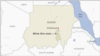 Sudanese RSF paramilitaries kill 100s in White Nile state 