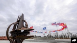 NATO 