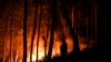 Portugal Perangi Kebakaran Hutan di tengah Kekeringan, 29 Cedera