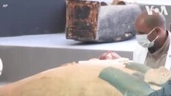 Jami’an kula da kayan tarihi na Masar sun gano wasu gumaka masu adon zinari guda 40 da kuma dadaddun akwatinan gawa aƙalla guda 100