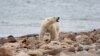 Climate Change Study Canceled Because of Impact of Climate Change 