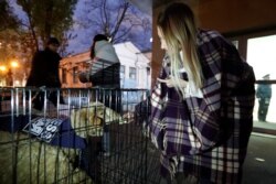FILE - An employee feeds sheep in a cage near the Novaya Gazeta newspaper office in Moscow, Russia, Oct. 29, 2018.