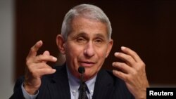 Dr Fauci na Amurka