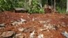 Cambodia’s Indigenous Groups Suffer Under Climate Change, Deforestation