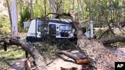 Sebuah pohon tumbang tergeletak di trailer perkemahan dekat Gold Coast, Australia, Selasa, 26 Desember 2023. (Dave Hunt/Gambar AAP via AP)