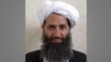 Pemimpin Taliban ingin Afghanistan Tanam Pohon Lebih Banyak