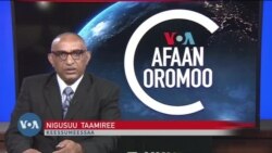 Tamsaasa Guyaadhaa Guyyaa