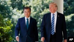 2017年6月30日美国总统川普(右)与到访的韩国总统文再寅在白宫玫瑰园(资料图片)