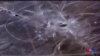 16x9 Image