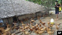 Meanwhile, China has banned the import of eggs from Cambodia and insisted on controls for passengers arriving from Cambodia
