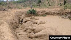 A slope was dug into the crater and tree branches laid to allow the elephants to climb out once they had been freed, Mondulkiri province, Cambodia, March 24th, 2017. (Photo from Wildlife Conservation Society)