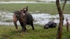 Monsoon Floods Swamp Northeast Indian Villages, 21 Dead