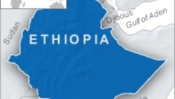 የኦነግ አመራሮች በመግለጫ ዙሪያ እየተወዛገቡ ነው