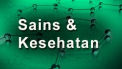 Sains dan Kesehatan: Gelombang Panas Berkepanjangan Hancurkan Terumbu Karang