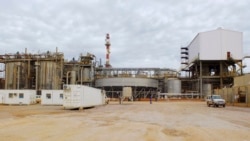 Le cobalt congolais inondera les marchés; Mocaf dénonce des incendies contre sa brasserie en RCA