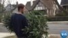 There's More Than One Way to Recycle a Christmas Tree