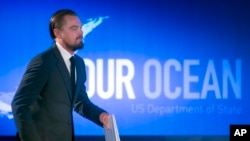 Leonardo DiKaprio konferensiyada