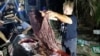 Darrell Blatchley dari D' Bone Collector Museum Inc., menunjukkan sampah plastik yang ditemukan di dalam perut paus.