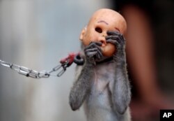 Atraksi topeng monyet di sebuah daerah kumuh di Jakarta. (AP/Tatan Syuflana)