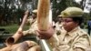 NGOs Partner to Halt Slaughter