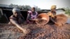 En Côte d'Ivoire, on détruit les plantations de cacao pour chercher de l'or