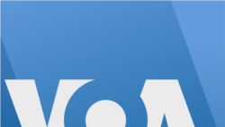 TIG-Debate-On-Current-Eritrean-Situation